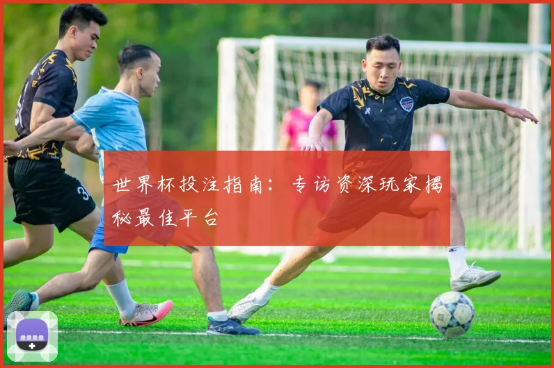 世界杯投注指南：专访资深玩家揭秘最佳平台