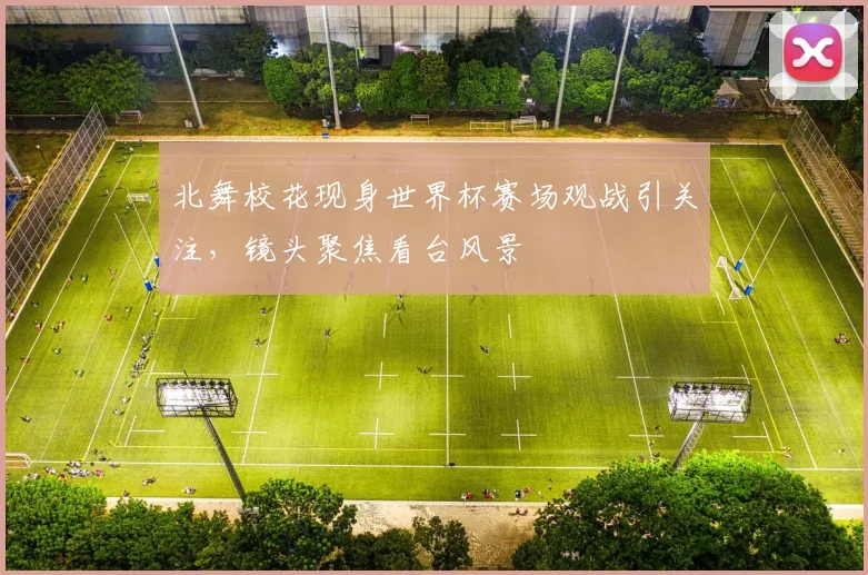 北舞校花现身世界杯赛场观战引关注，镜头聚焦看台风景